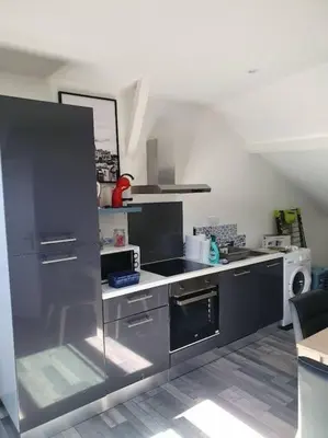 Cuisine ou kitchenette dans l'établissement App 2 ch, spacieux et lumineux