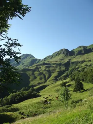 Paysage naturel près de la maison de vacances