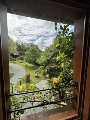 Jardin de l'établissement Le chat qui peche