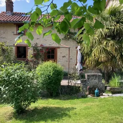 Le chat qui peche