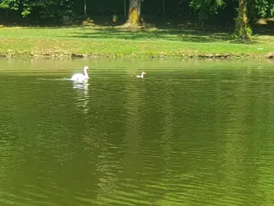Vue sur la rivière ou le fleuve situé(e) à proximité de le B&B/chambre d'hôtes