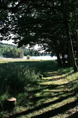 Paysage naturel près de le chalet