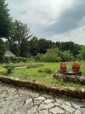 Jardin de l'établissement Chez Patrick