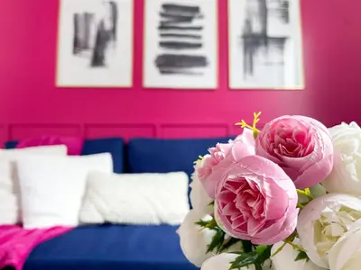 Coin salon dans l'établissement Maison Yuki - Rose Velours - Netflix & Parking