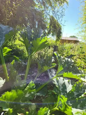 Jardin de l'établissement Etape à la campagne