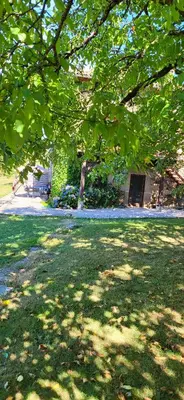 Jardin de l'établissement Gites les Tillets -Noyer