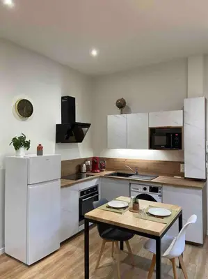 Cuisine ou kitchenette dans l'établissement Logement entier-Clim-100%équipé-Hypercentre-Balcon