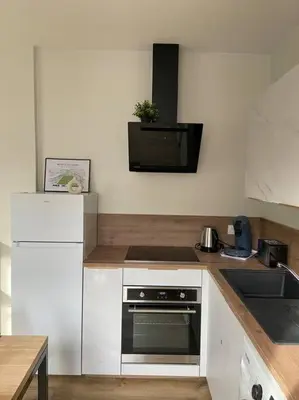Cuisine ou kitchenette dans l'établissement Appartement hypercentre 100% équipé *Clim*