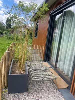 Jardin de l'établissement Au Jardin d’AnneSo