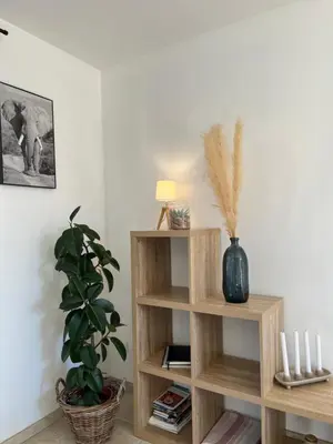 Bibliothèque dans la maison de vacances
