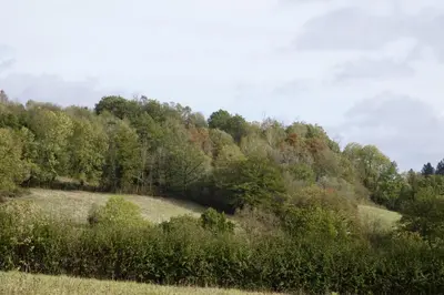 Paysage naturel près de l'appartement