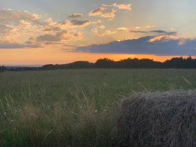 Lever ou coucher de soleil vu de l'appartement ou à proximité