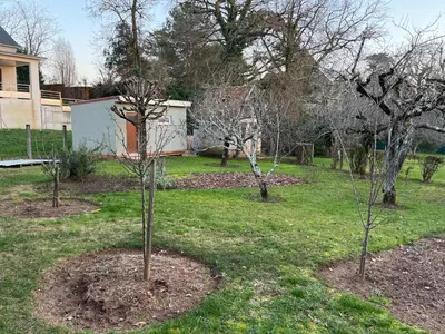 Jardin de l'établissement Studio neuf de 24m²