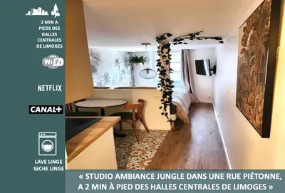 Plan de l'établissement Studio Jungle-Calme rue piétonne