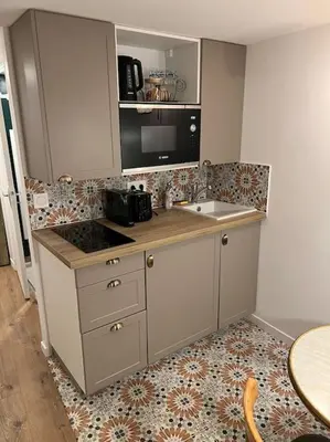 Cuisine ou kitchenette dans l'établissement Studio Jungle-Calme rue piétonne