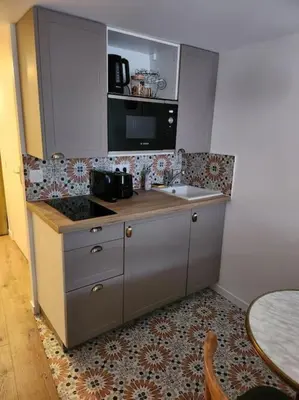 Cuisine ou kitchenette dans l'établissement Studio Jungle-Calme rue piétonne