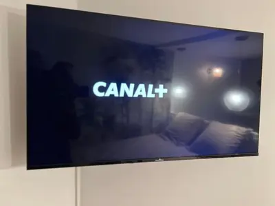 Télévision ou salle de divertissement dans l'établissement Studio Jungle-Calme rue piétonne
