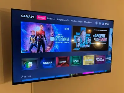 Télévision ou salle de divertissement dans l'établissement Studio Jungle-Calme rue piétonne