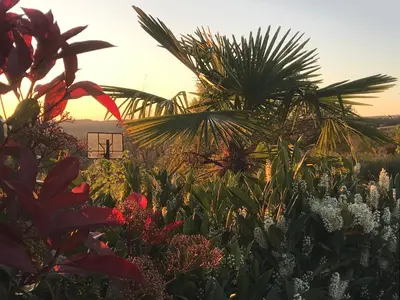 Jardin de l'établissement Gîte Bellevue - Domaine de la chapelle en Corrèze