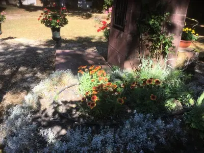 Jardin de l'établissement Gîte de France à Saillac 2 épis - Gîte de France 2 personnes MAE-6334