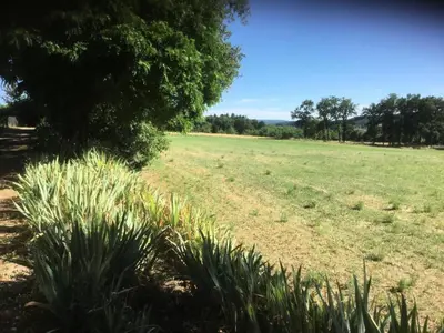 Paysage naturel près de l'appartement