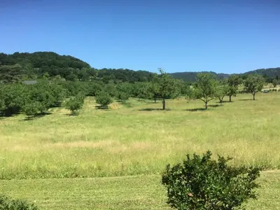 Paysage naturel près de l'appartement