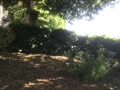 Jardin de l'établissement Gîte de France à Saillac 2 épis - Gîte de France 4 personnes MAE-6384