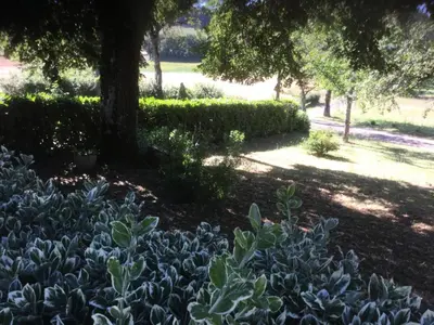 Jardin de l'établissement Gîte de France à Saillac 2 épis - Gîte de France 4 personnes MAE-6384