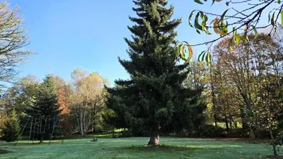Jardin de l'établissement Gîte de France Le fournil 3 épis - Gîte de France 2 personnes MAE-6664
