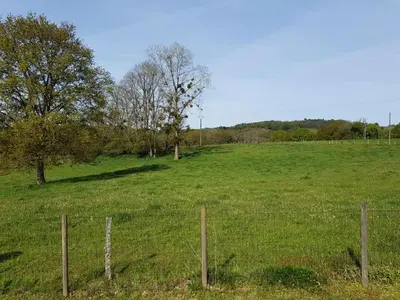 Paysage naturel près de l'appartement