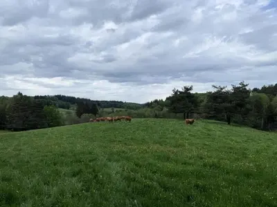 Paysage naturel près de l'appartement