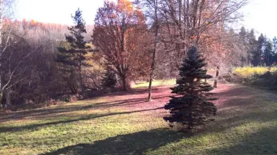 Paysage naturel près de l'appartement