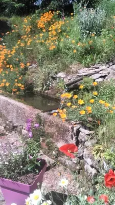 Jardin de l'établissement Gîte de France à Saint-Yrieix-le-Déjalat 3 épis - Gîte de France 4 personnes MAE-9234
