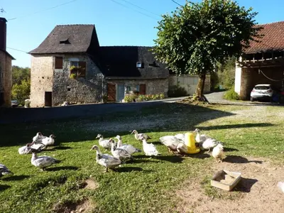 Jardin de l'établissement Gîte de France à Turenne 3 épis - Gîte de France 6 personnes MAE-9334