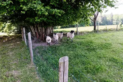 Jardin de l'établissement Gîte de France Gîte de coiral 3 épis - Gîte de France 2 personnes MAE-9524