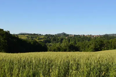 Paysage naturel près de l'appartement