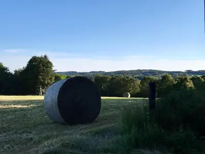 Paysage naturel près de l'appartement