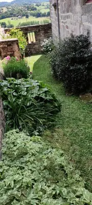 Jardin de l'établissement Gîte de France La maison de la halle 3 épis - Gîte de France 6 personnes MAE-0034