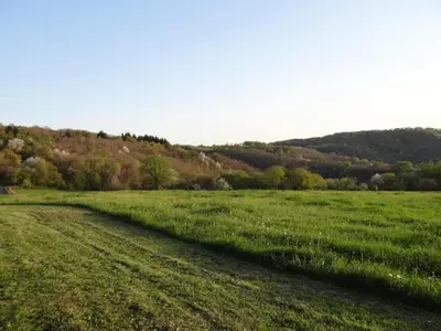 Paysage naturel près de l'appartement