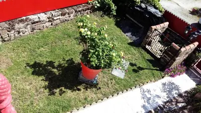 Jardin de l'établissement Gîte de France Chirac du midi corrézien 3 épis - Gîte de France 6 personnes MAE-0324