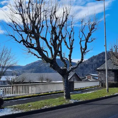 Paysage naturel près de l'appartement
