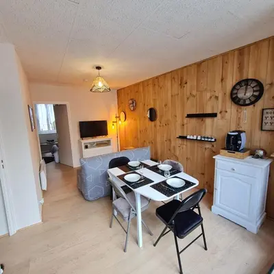 Cuisine ou kitchenette dans l'établissement Bel appartement « Les Monts du Cantal »