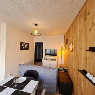 Télévision ou salle de divertissement dans l'établissement Bel appartement « Les Monts du Cantal »