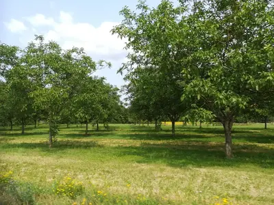 Jardin de l'établissement La belle campagne