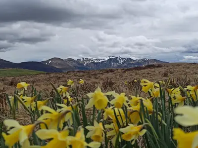 Paysage naturel près de la maison de vacances