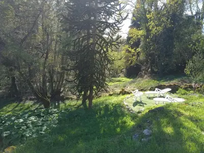 Paysage naturel près de la maison de vacances
