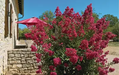 Jardin de l'établissement La Martine