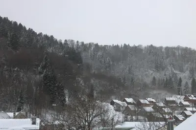 L'établissement Appartement Centre Ville MONT DORE Vacances et Week-End Classé 3 Etoiles en hiver