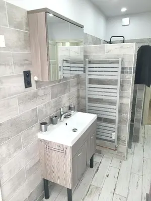 Salle de bains dans l'établissement Appartement confortable à La Bourboule, 64 m², balcons agréables