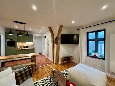 Télévision ou salle de divertissement dans l'établissement Charmant T3 au Mont-Dore, jusqu'à 4 pers, wifi, vue Puy Gros - FR-1-608-265